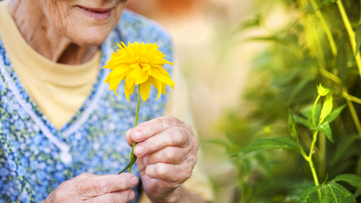 independent living seniors