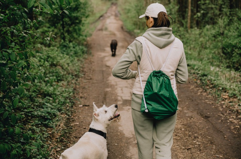 Woman walking two dogs on a wooded dirt trail in Asheville