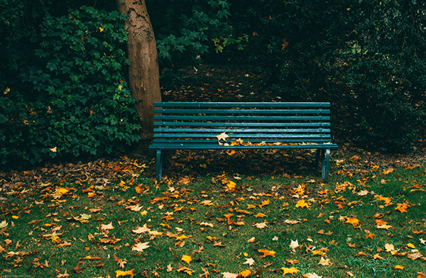 green bench in a park
