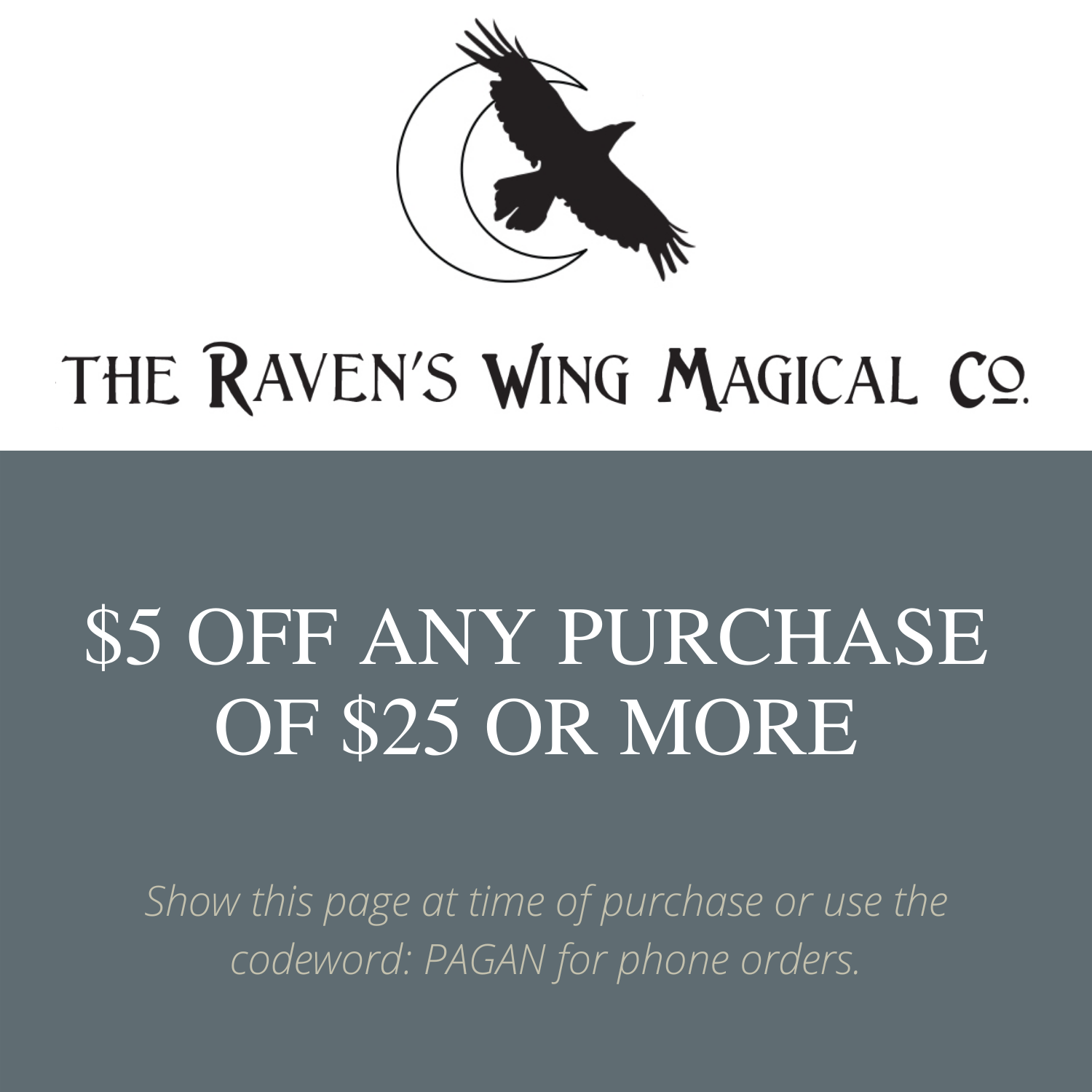 The Raven's Wing Flyer