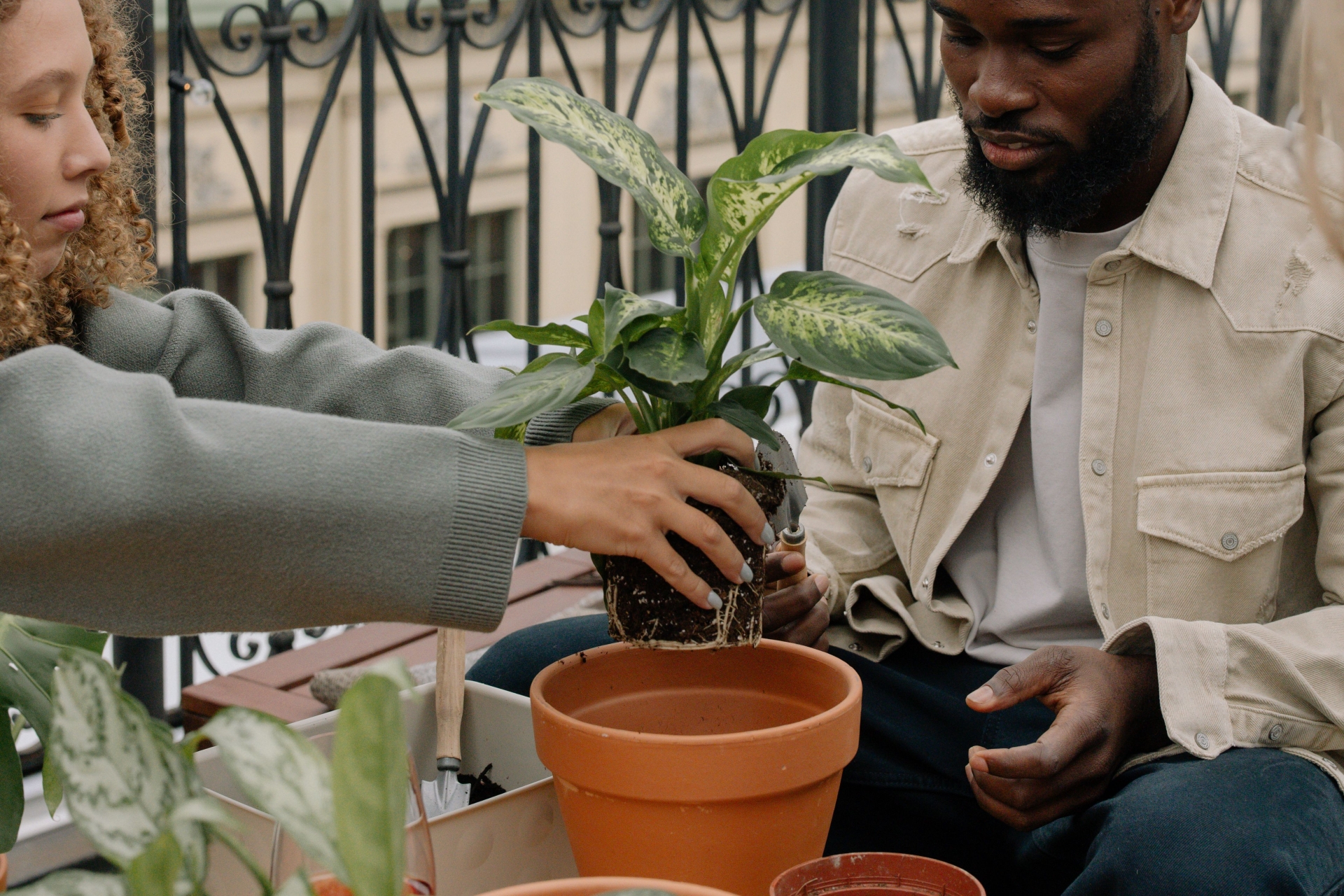 Two people replanting a green leafy plant in a terracotta pot on a balcony for a container garden in an Allen, TX apartment