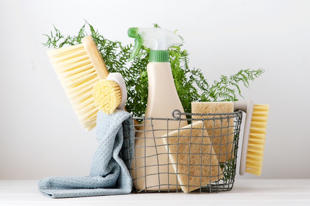 Clean your apartment the eco-friendly way by checking out our new blog.