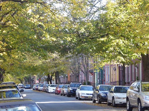 Mill Hill Neighborhood