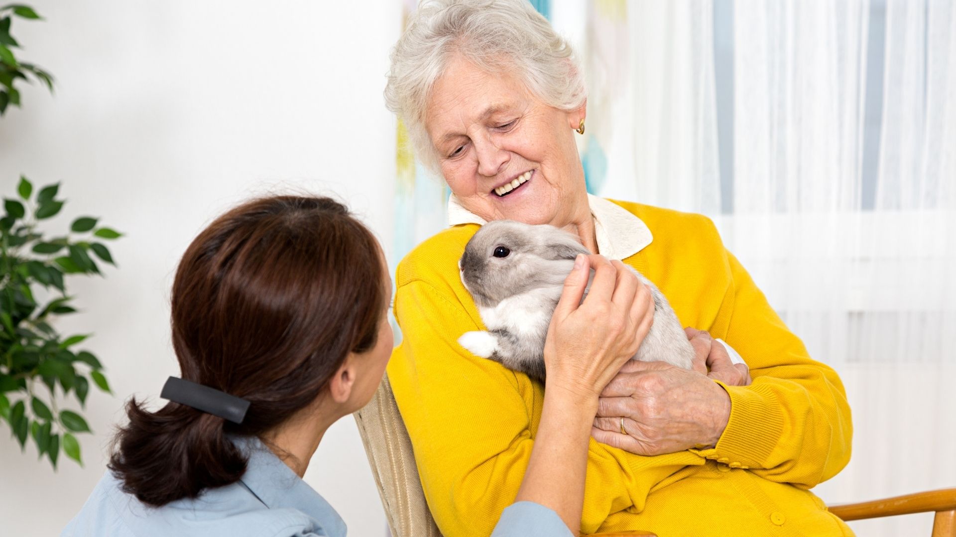 senior holding a pet rabbit for therapy at a senior home