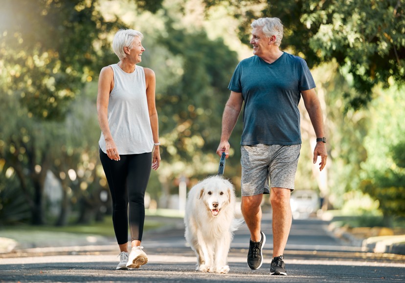 Senior couple walking their dog along a tree-lined street in New Rochelle.