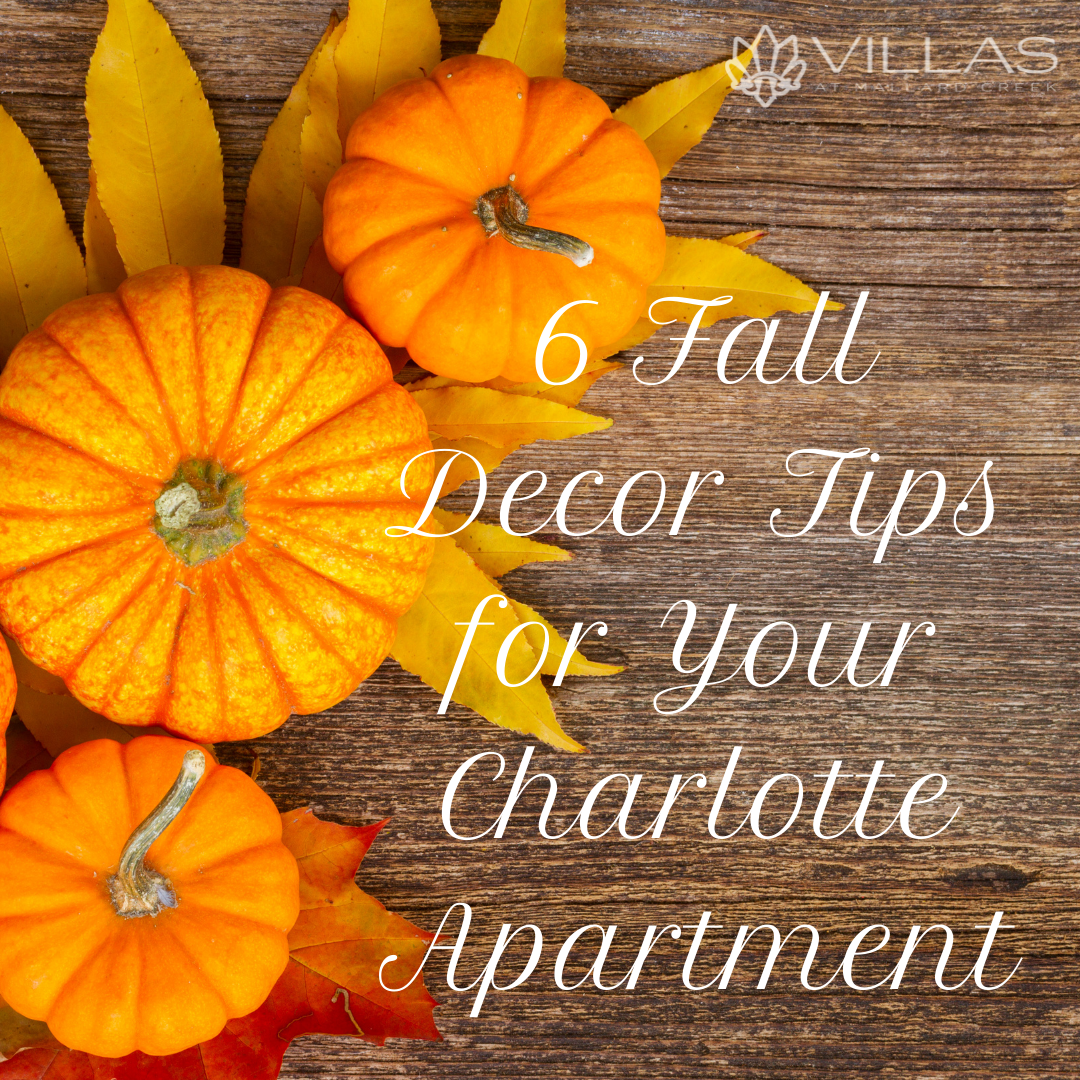6 fall decor tips for your Charlotte apartment | Villas at Mallard Creek Apartments
