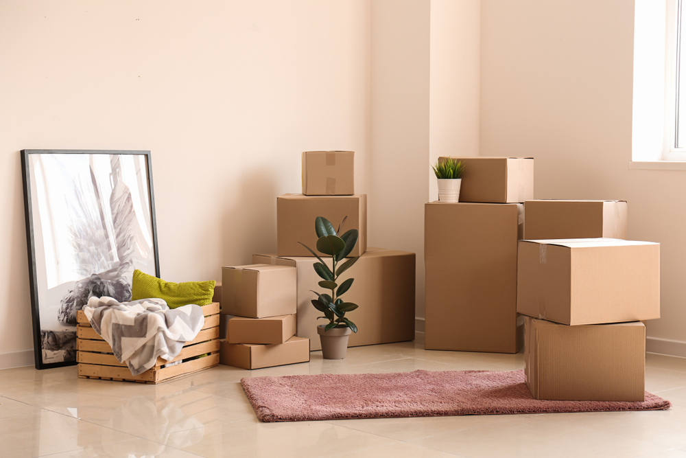What to Know About Moving in the Winter