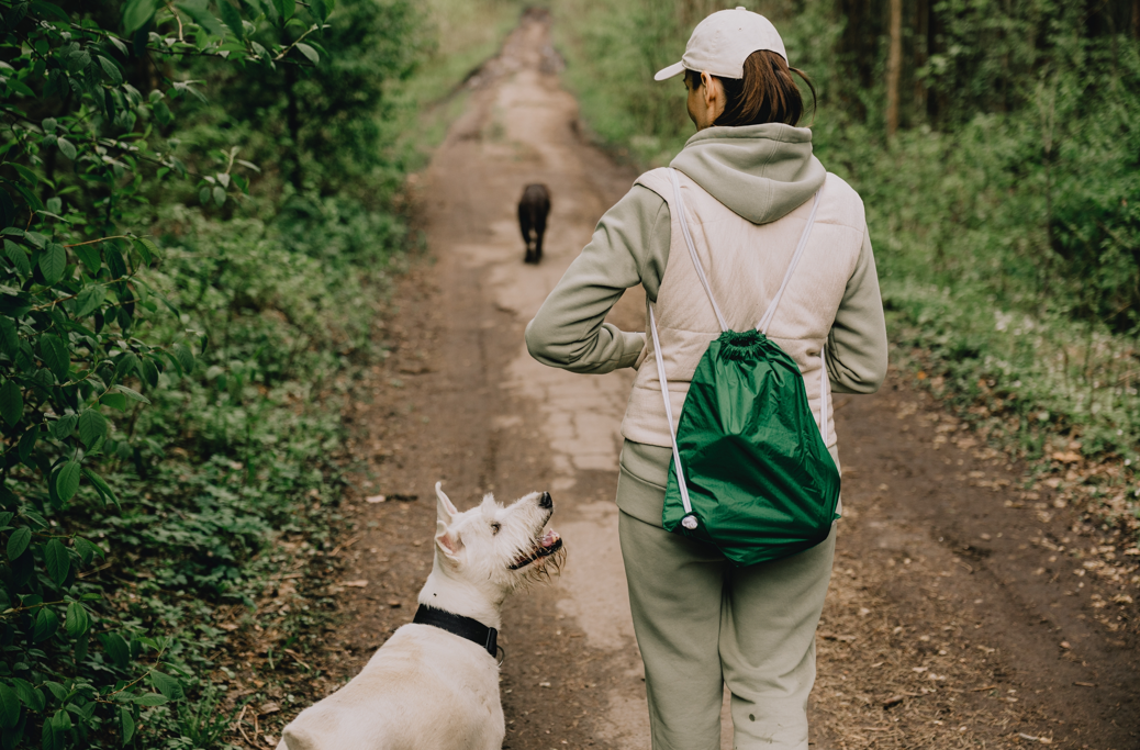 Person walking dogs along a wooded trail in Norcross, Georgia surrounded by lush greenery.