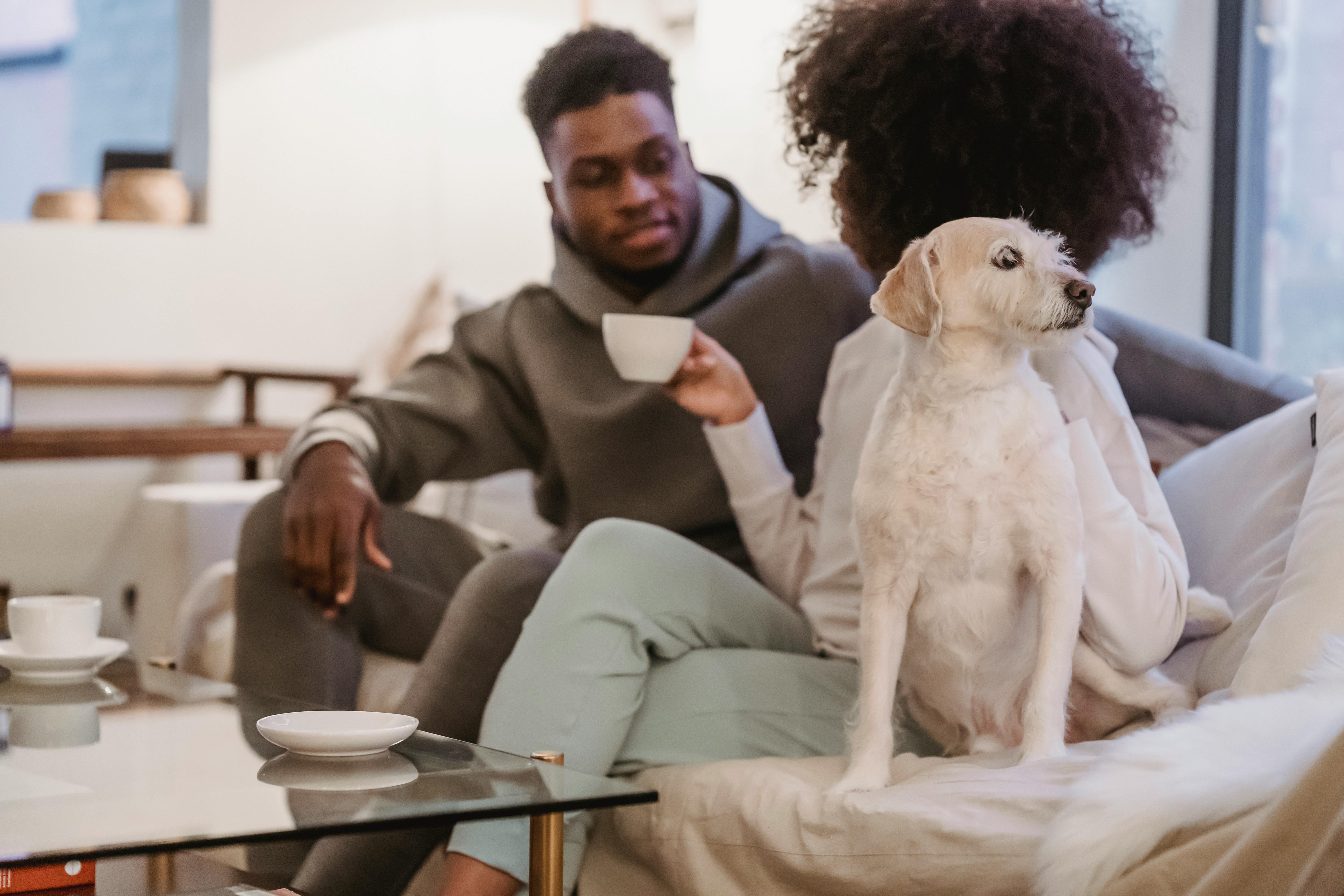 A man and woman wearing casual clothing sitting on a couch drinking coffee near a small white dog resting indoors.
