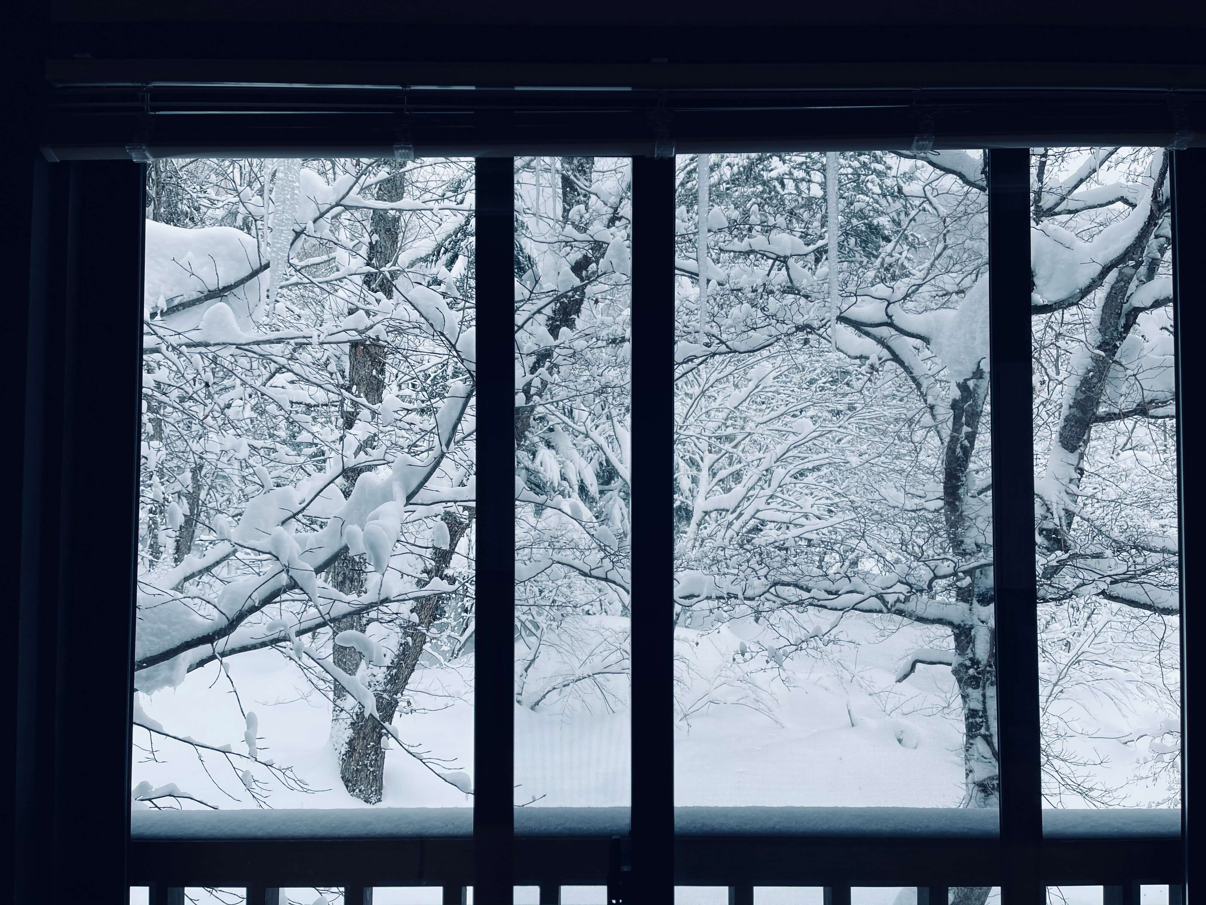 snowy window - apartment prepping