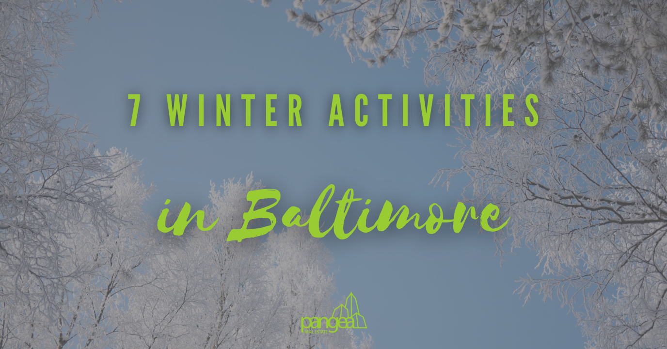 7 Must-Do Winter Activities in Baltimore
