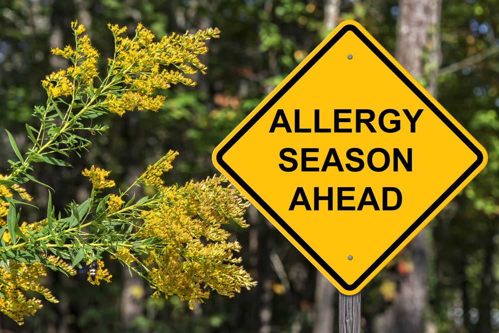 Prepare for allergy season with our new blog.