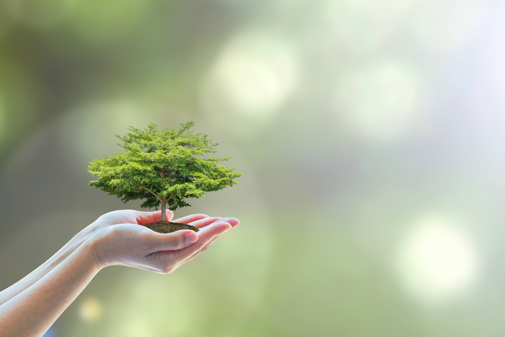 Eco-Friendly living should extend beyond Earth Day!