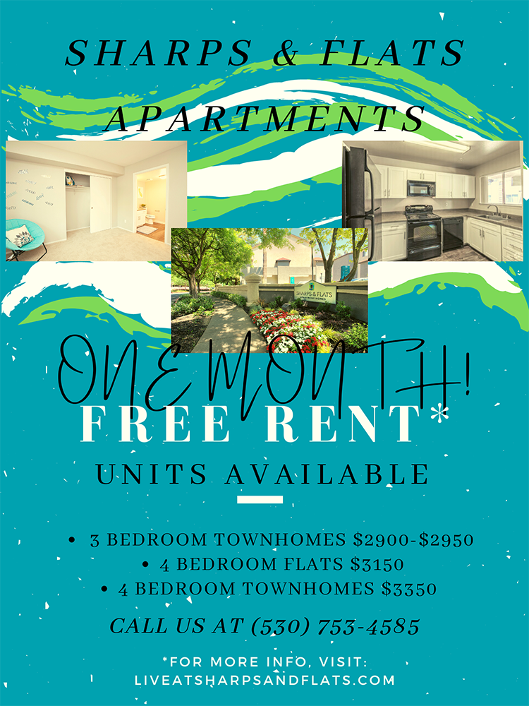 One month free rent flyer restrictions apply 