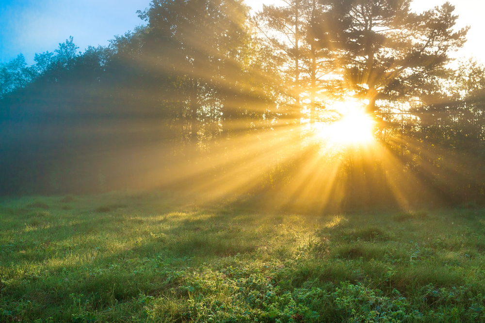 Make your life happier and healthier by checking out these tips.
