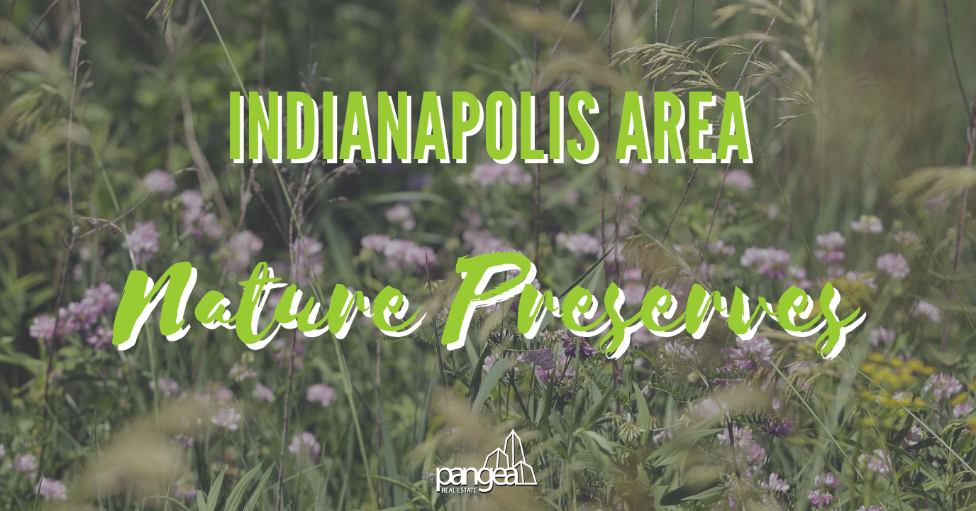Top 5 Nature Preserves Near Indianapolis for a Fun Summer Day Trip
