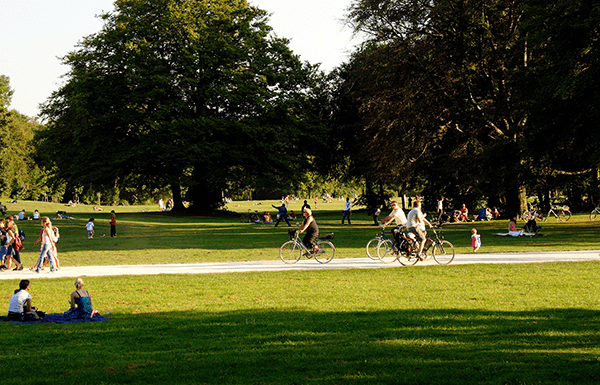 park with people hanging out