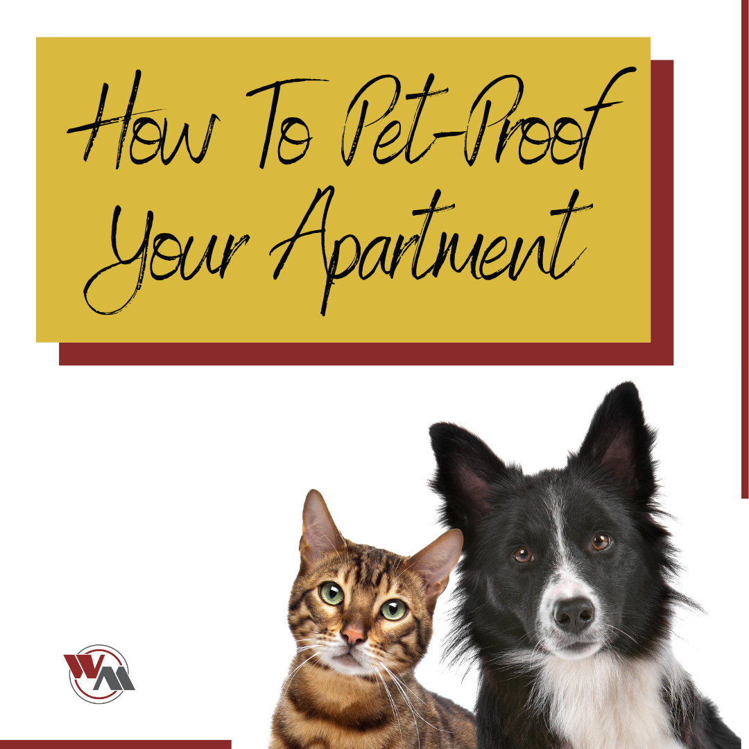 10 Ways to Effectively Puppy Proof Your Home - Fon Jon Pet Care