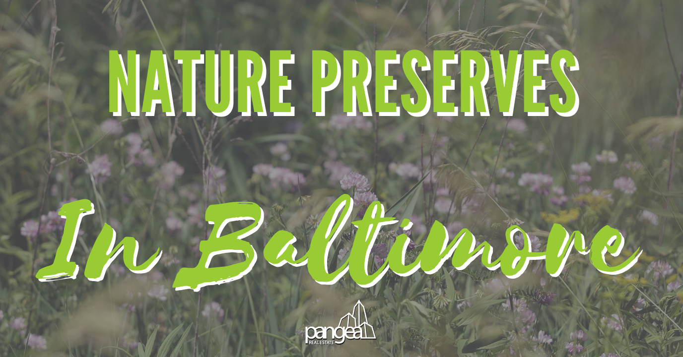 Nature Preserves in Baltimore