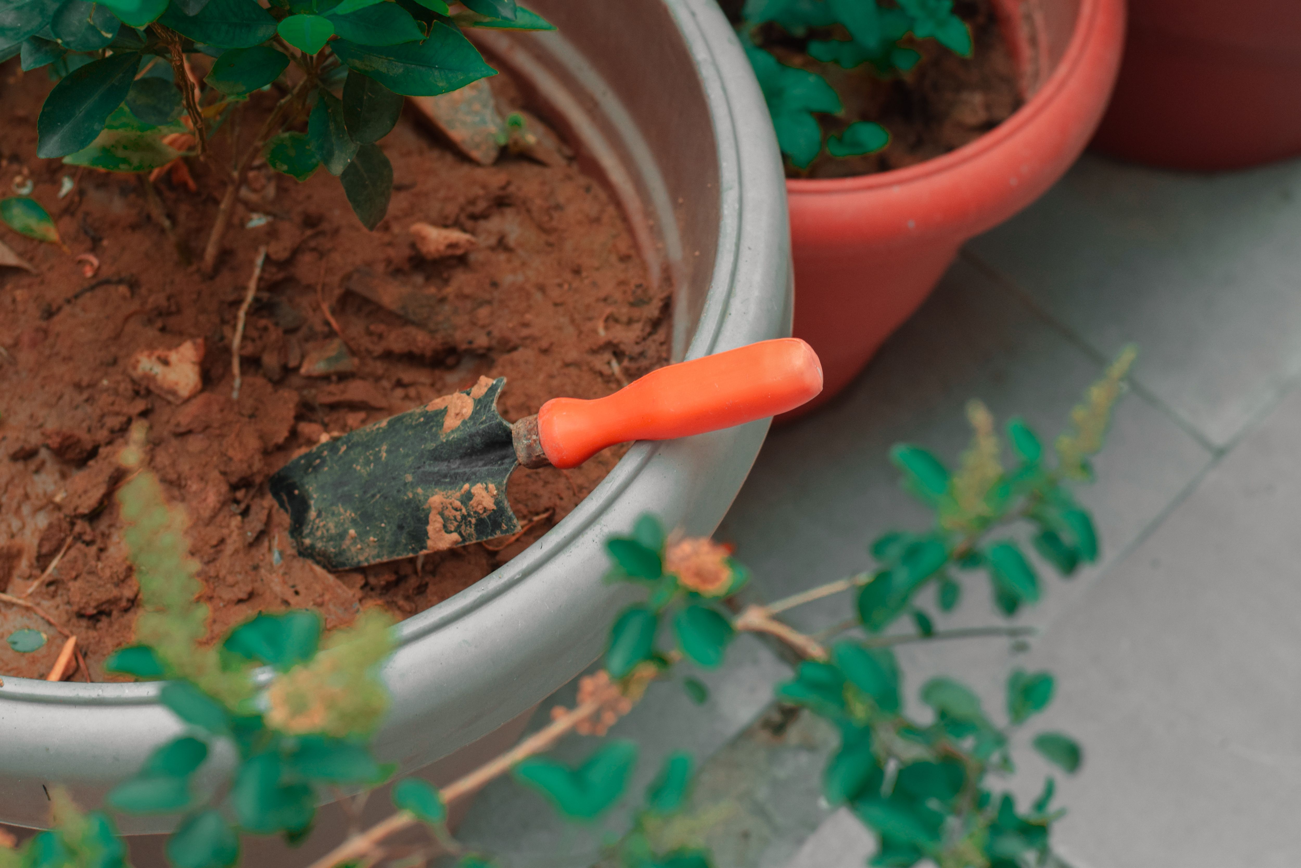 A small hand trowel with an orange handle resting in soil inside a large potted plant container outdoors.