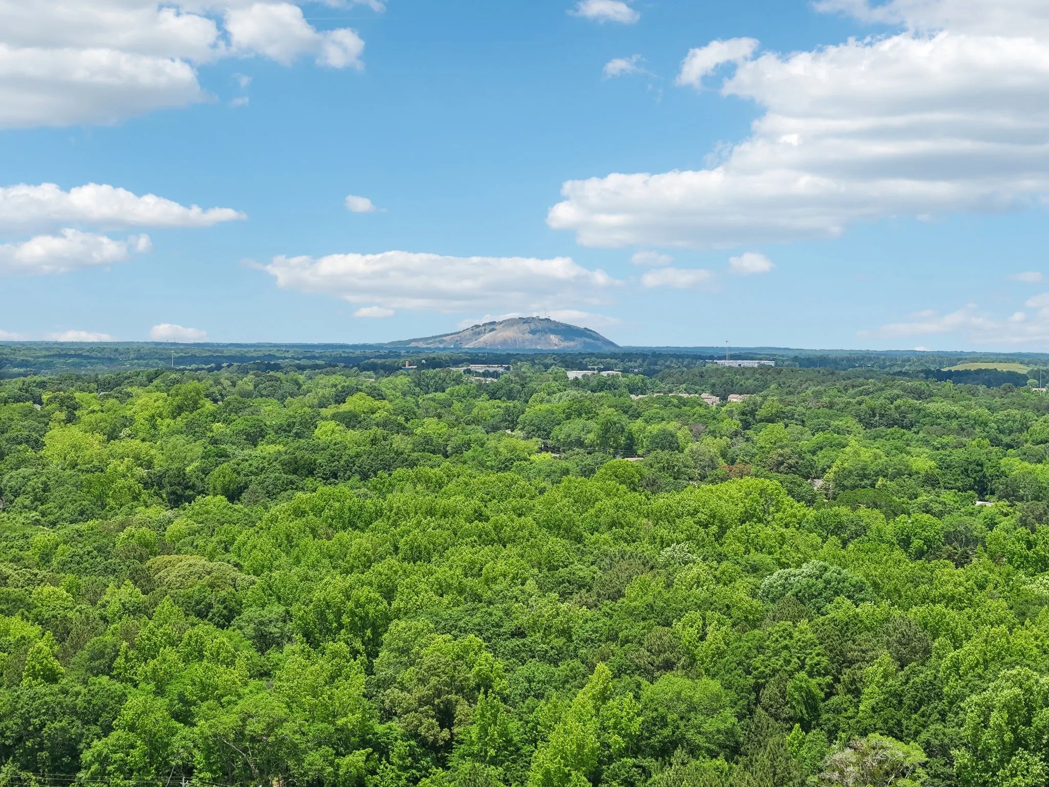 A vast green forest canopy stretching toward a large mountain rising in the distance under a blue sky with white clouds.