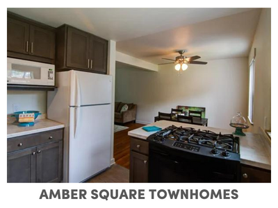 Amber Square Townhomes in Lansing, Michigan