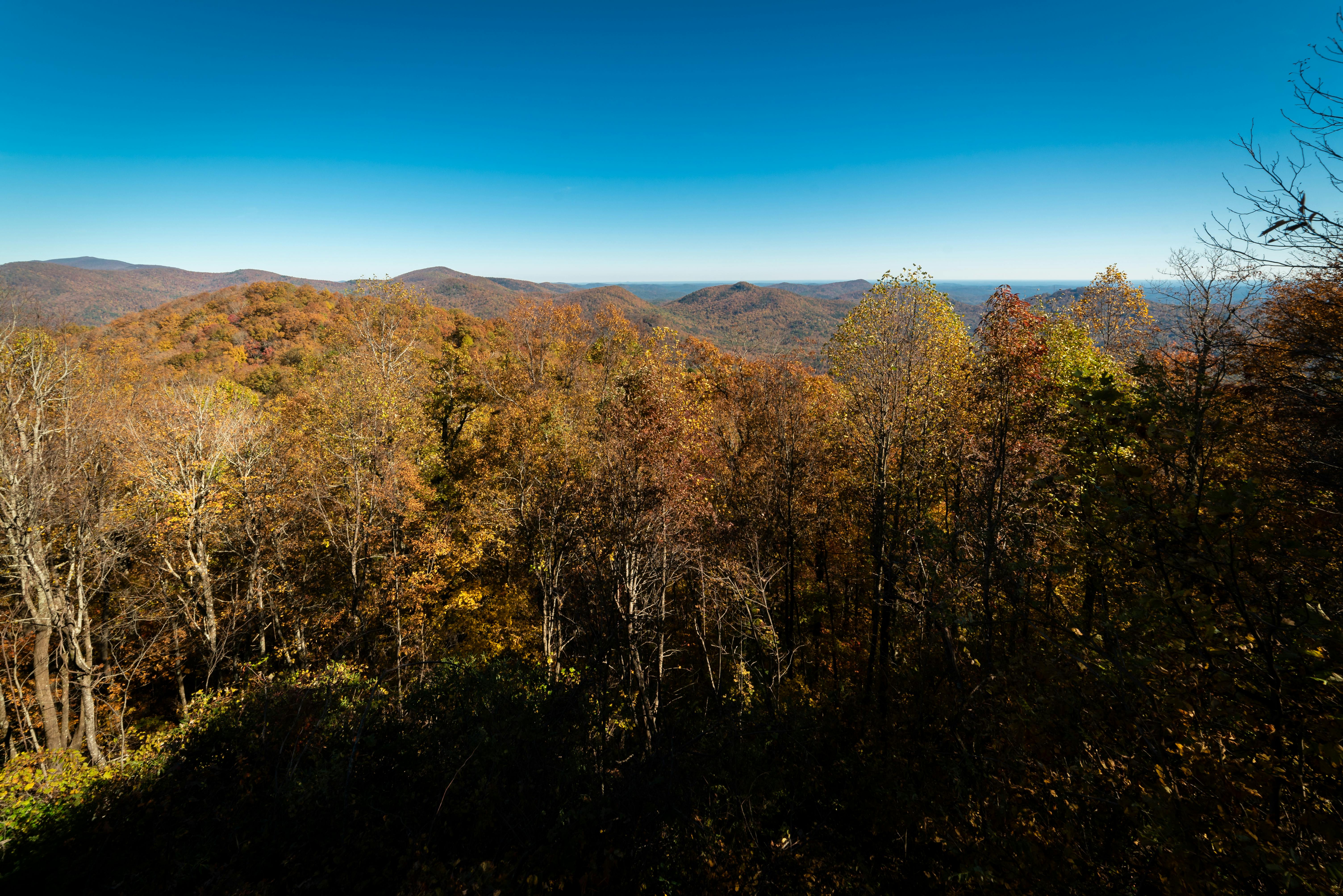 Yellow and orange autumn leaves covering rolling hills and mountains stretching across the landscape under a blue sky.