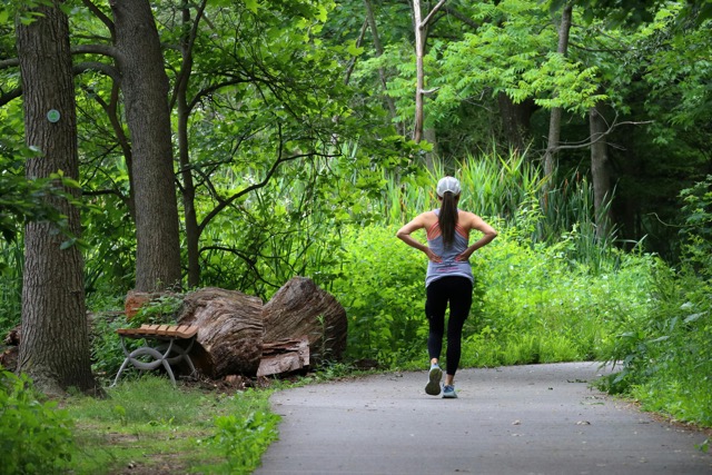 A woman wearing a white cap and grey tank top walking along a paved trail passing a wooden bench in a lush green forest. 