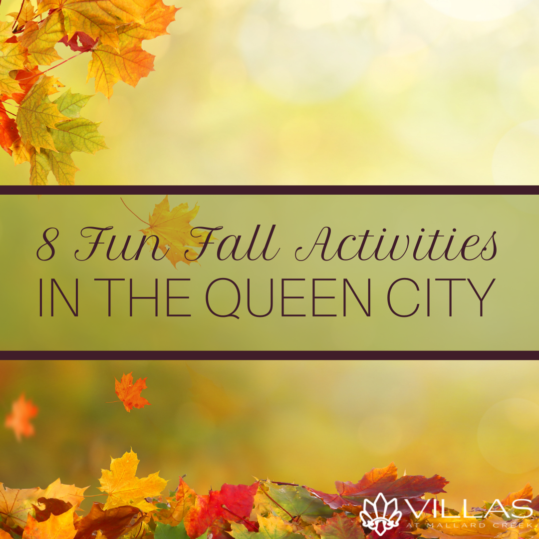 8 Fun Fall Activities in the Queen City | Villas Mallard Creek Apartments