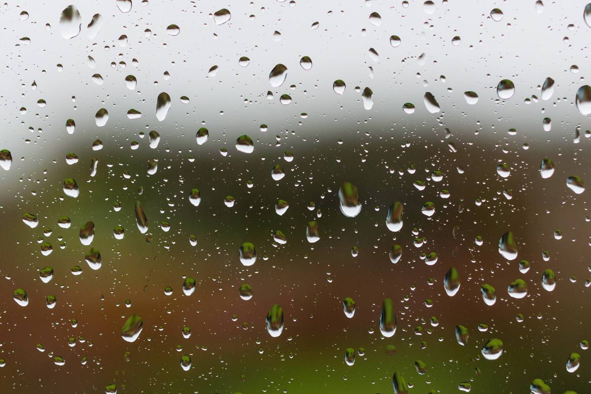 rain drops on a window