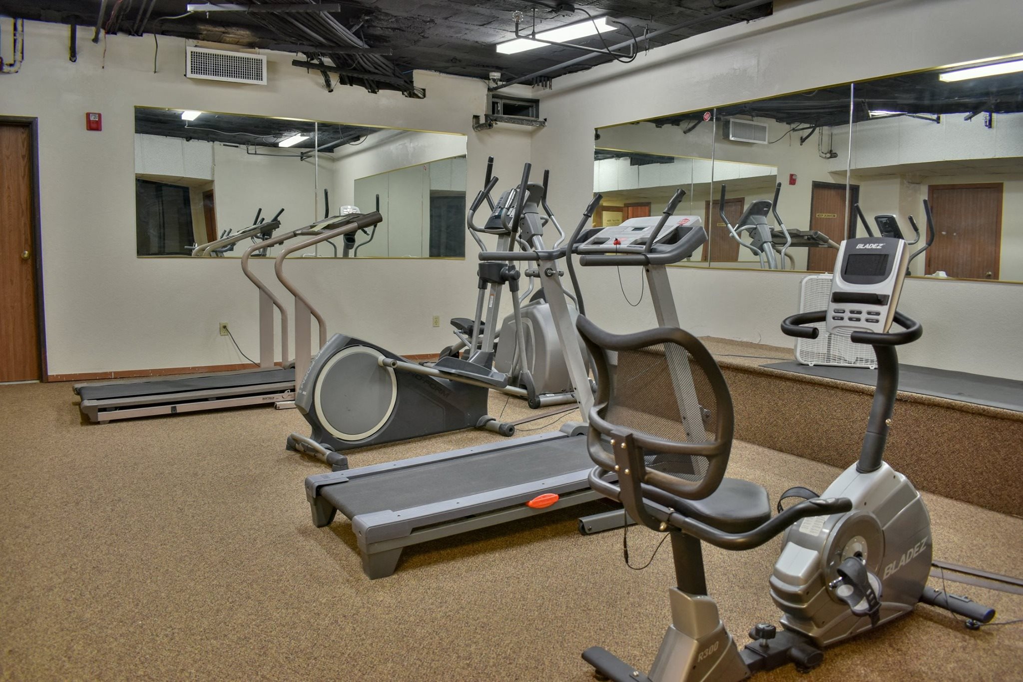 Gallery Photo 5