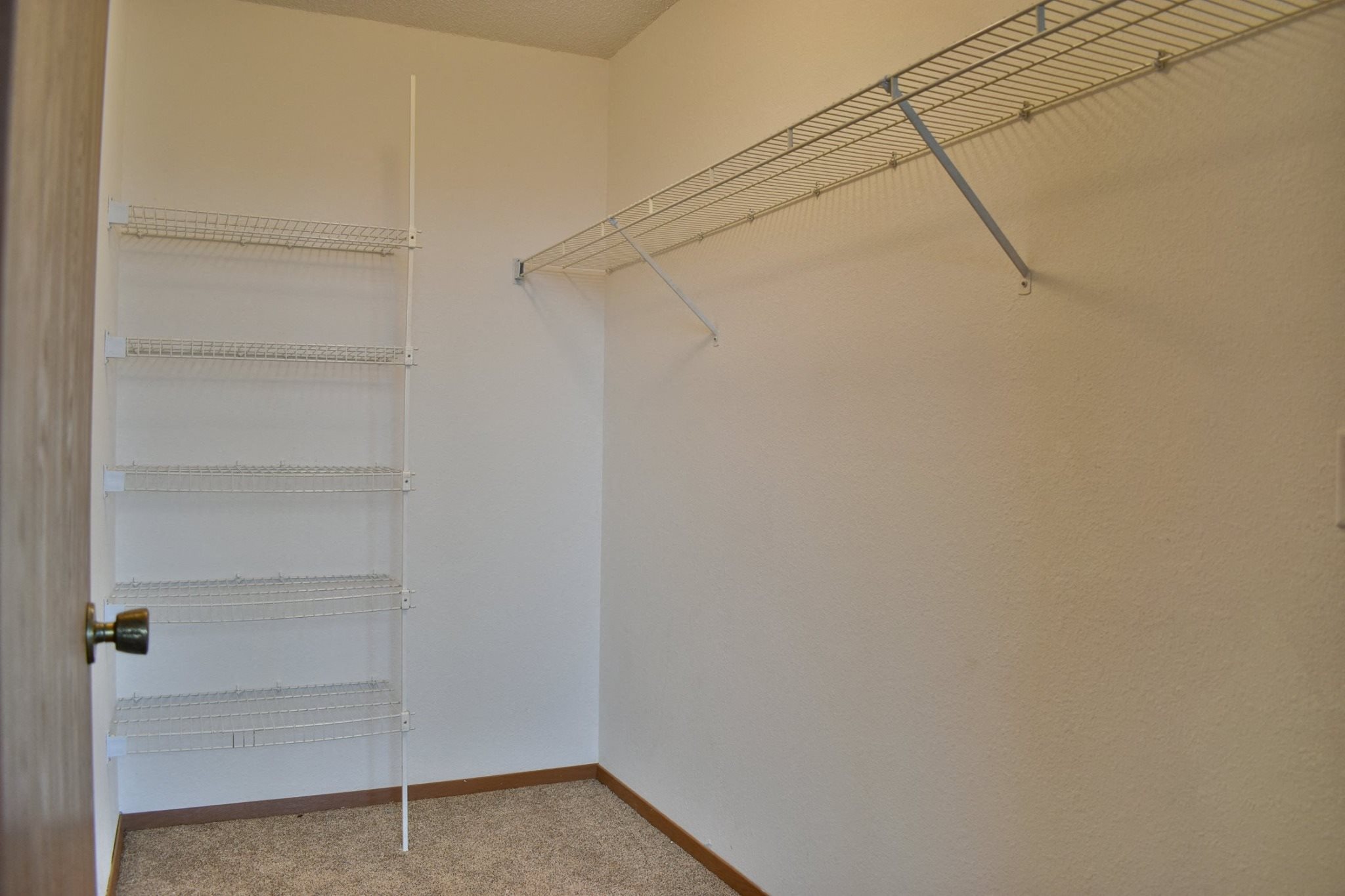 Gallery Photo 4