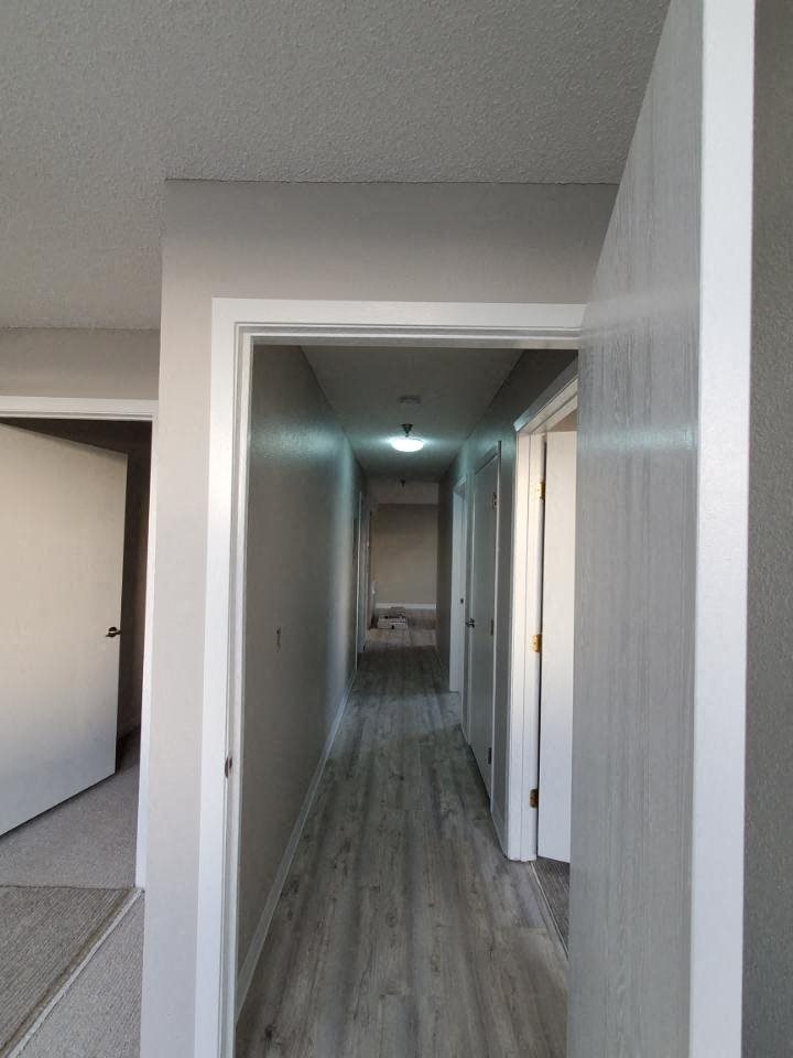 Gallery Photo 9