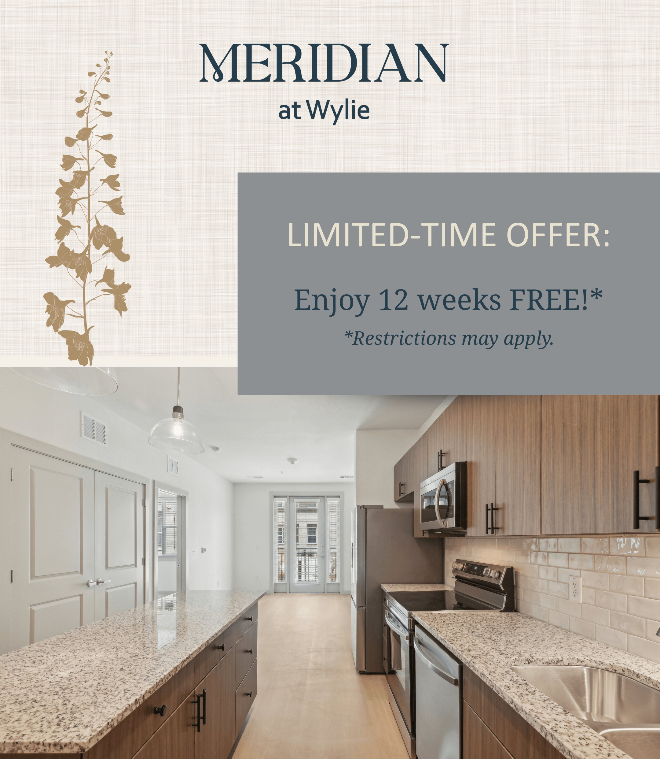 Meridian Promotion