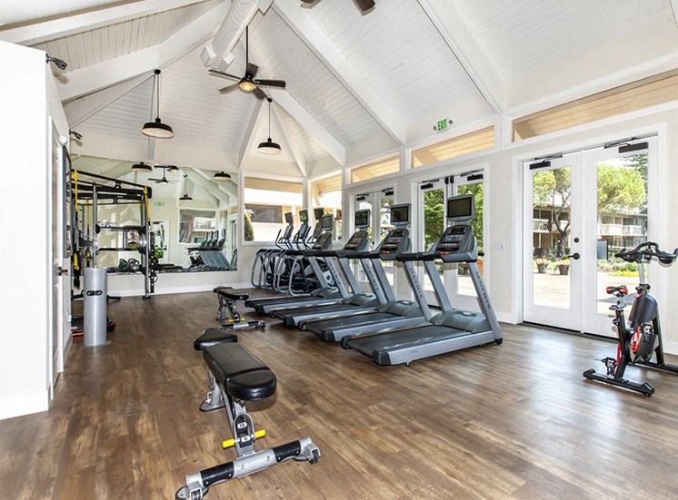 Gym with treadmills and ellipticals with screens weight bench, weight machine, rack and stationary bike