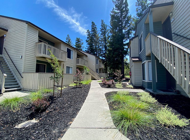 Apartments for Rent in Pleasant Hill CA - Exterior View of the Apartment Building Showcasing Large Community and Beautiful Landscaping