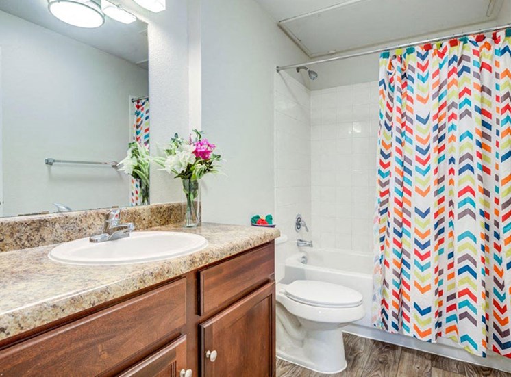 Furnished Bathroom at Trails at Buda Ranch, Buda, 78610