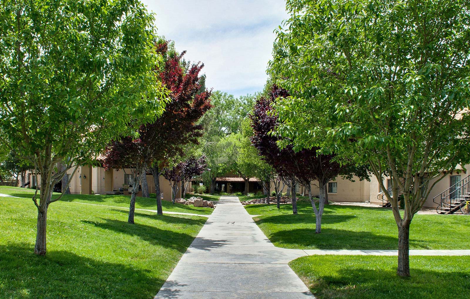 Apartments Near UNM and Nob Hill, Albuquerque Union 505