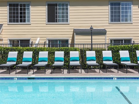 resort style pool