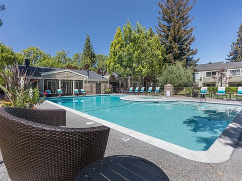 resort style pool
