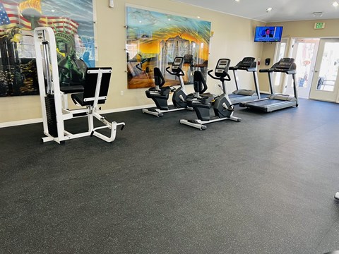 a fitness room with treadmills and other exercise equipment