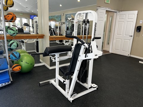 a gym with a weight machine and a ball on the floor