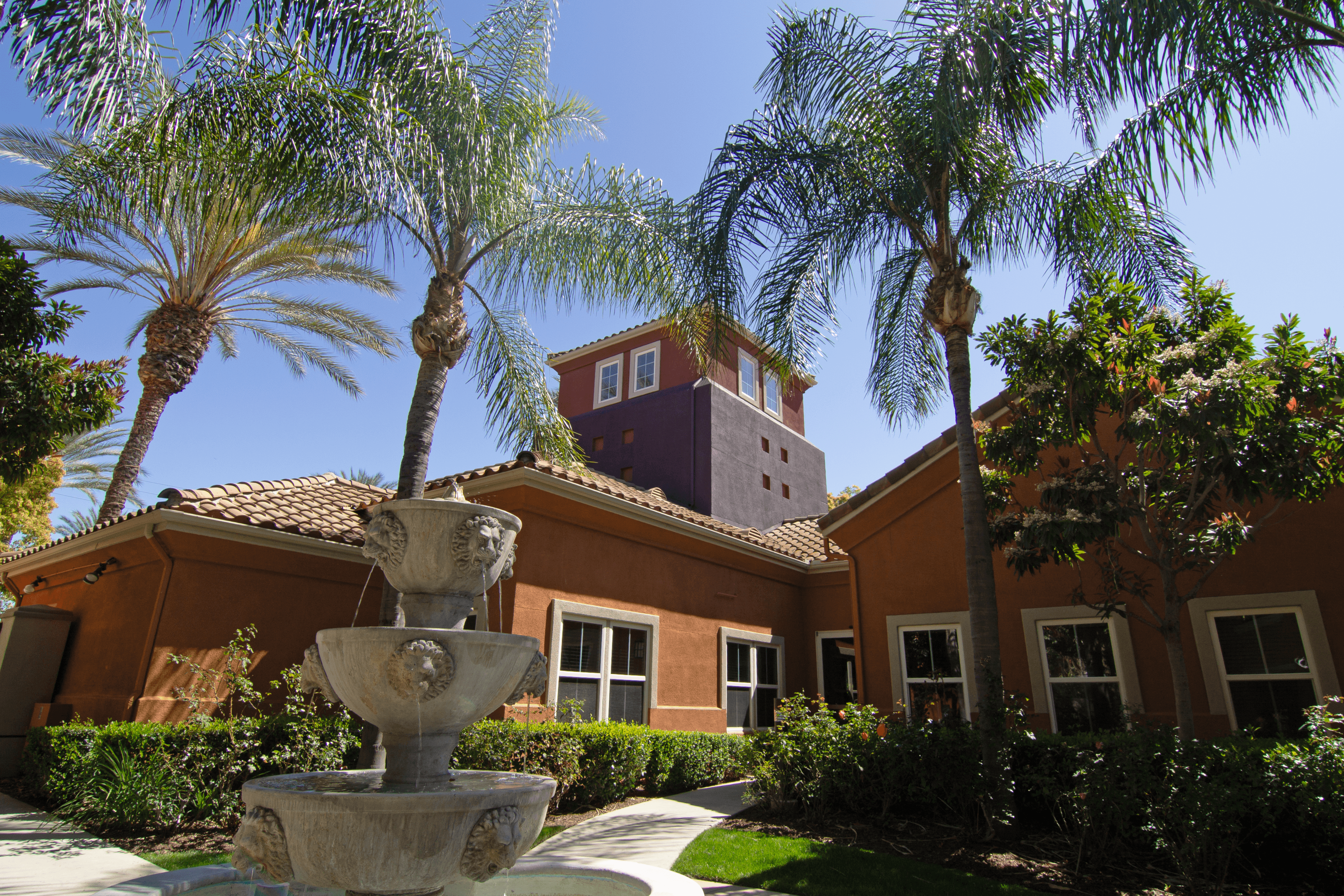 A fountain in front of a house with palm trees.