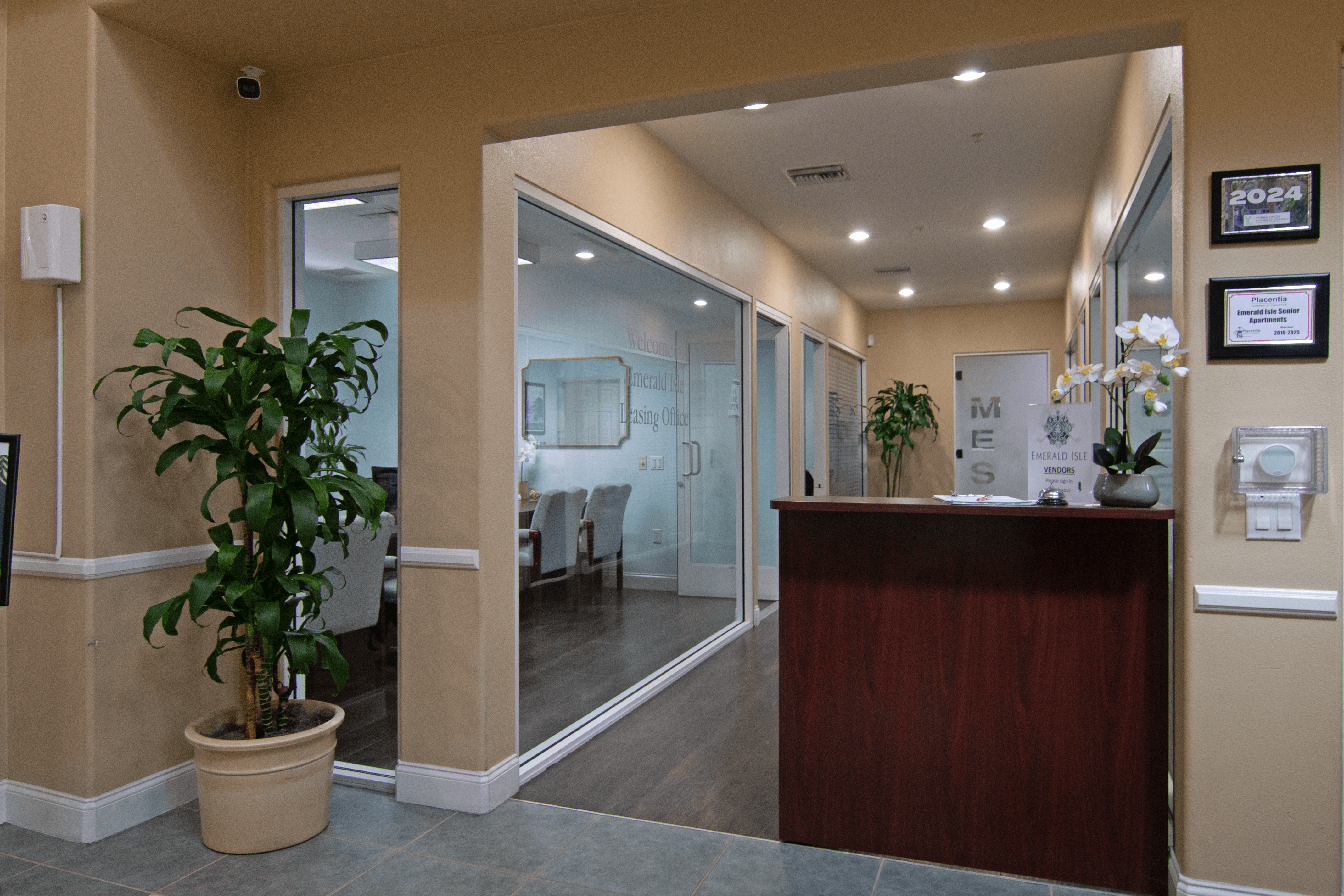 A reception area with a wooden desk and a potted plant.,A reception area with a wooden desk and a potted plant.