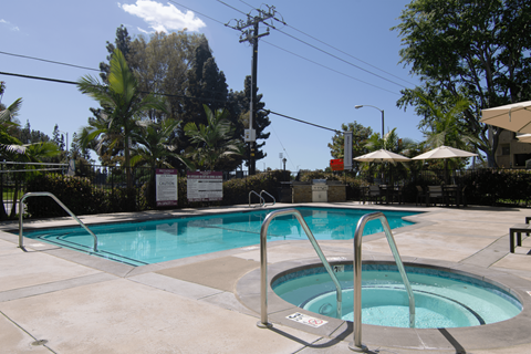 A small pool with a ladder and a diving board.