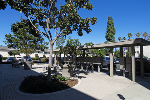 A tree in a planter is the main focus of this image.