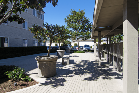 A concrete planter sits on a brick patio.