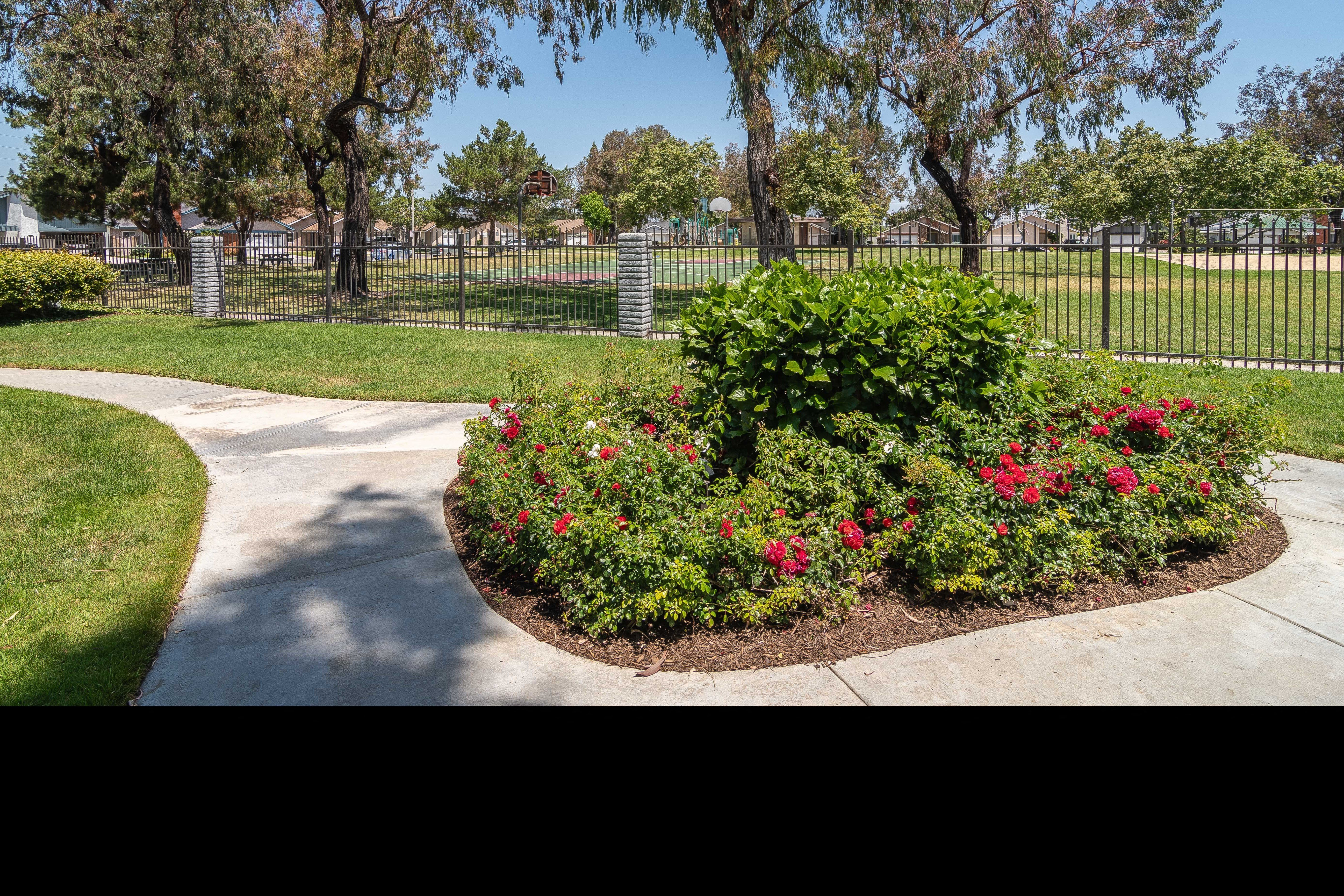a flower garden in a park next to a sidewalk