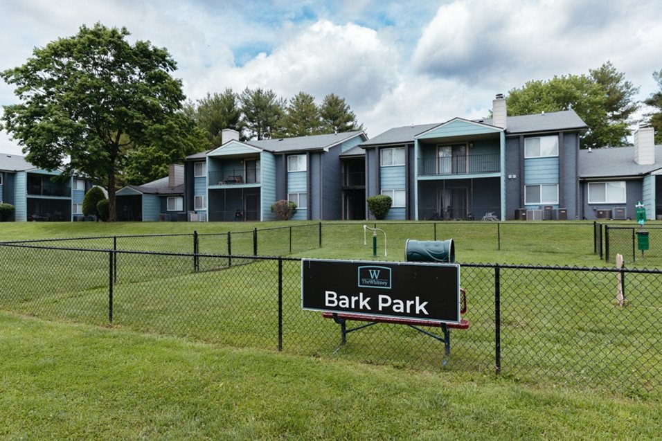 the park at bark park with apartment buildings in the background