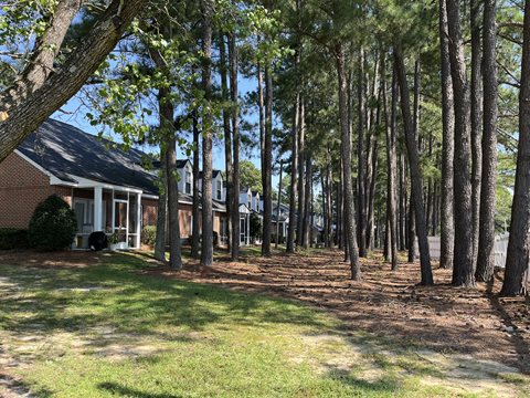 A house is surrounded by tall trees.